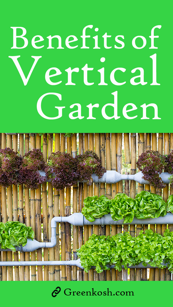 Vertical Garden
