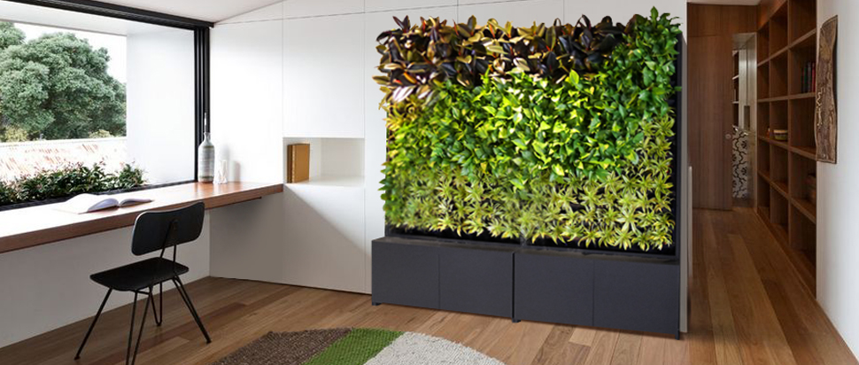 vertical garden for living room