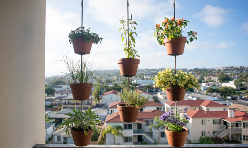 Herb Garden