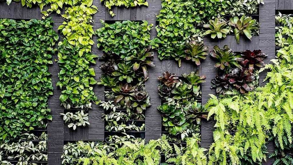 Grow Indoor Vertical Garden