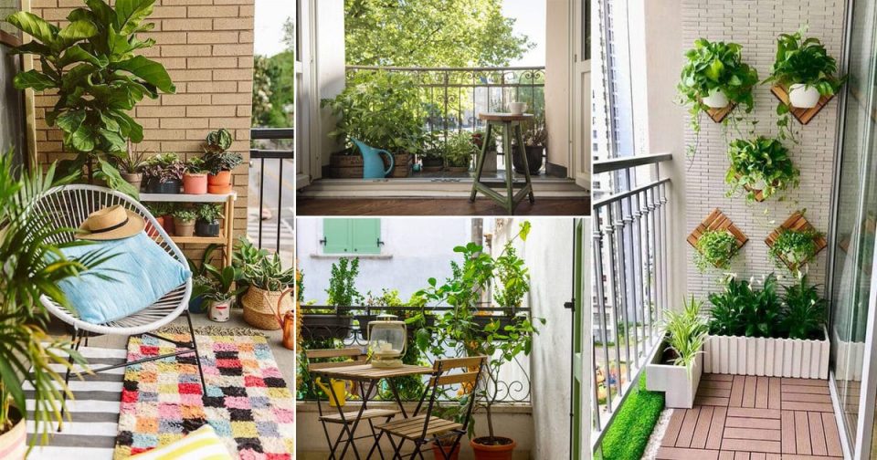 Low maintenance plants for balcony