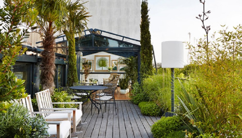 Best Trees For Rooftop Garden For All Seasons